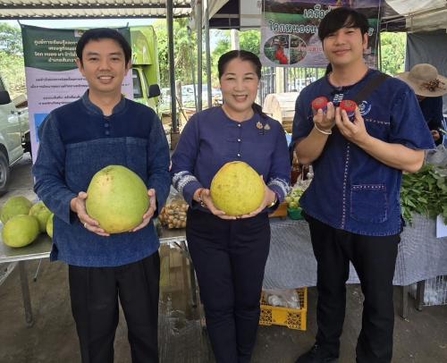 พช.เชียงดาว : ร่วมกิจกรรมเอามื้อสามัคคีเครือข่ายศูนย์เรียนรู้การพัฒนาคุณภาพชีวิตตามหลักทฤษฎีใหม่ ประยุกต์สู่ “โคก หนอง นา”
